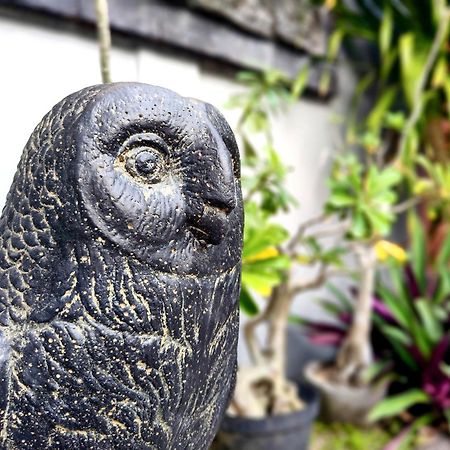 Panda Lumbung Sanur Exterior foto
