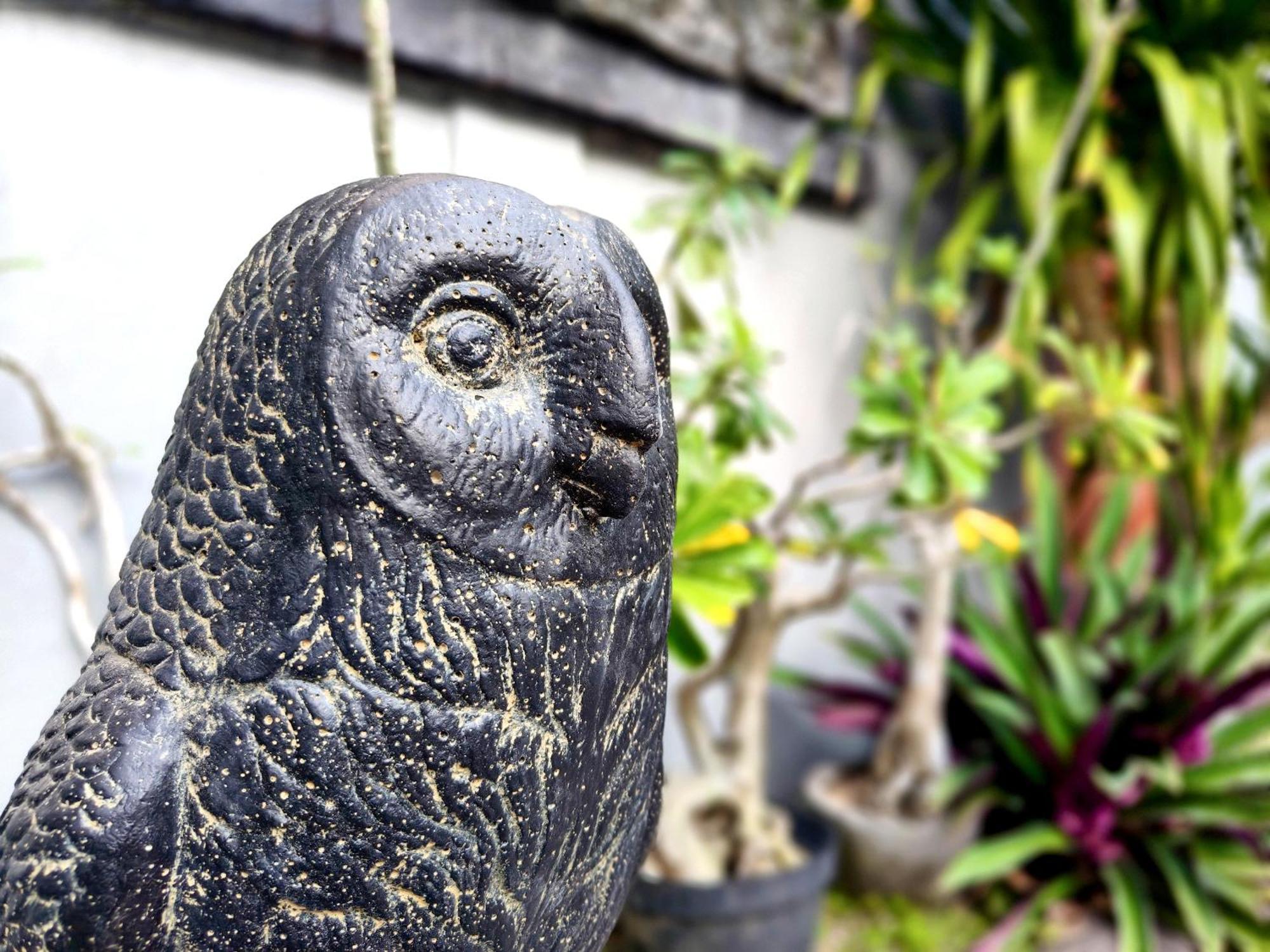 Panda Lumbung Sanur Exterior foto